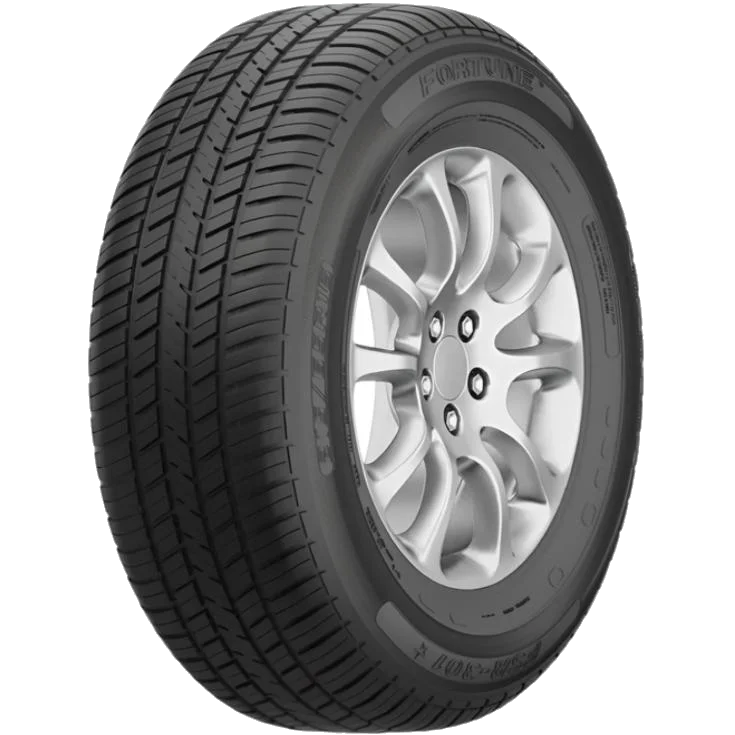 Fortune FSR-301