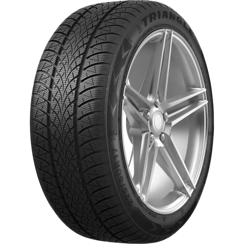 195/55 R20 Triangle WinterX TW401 95H