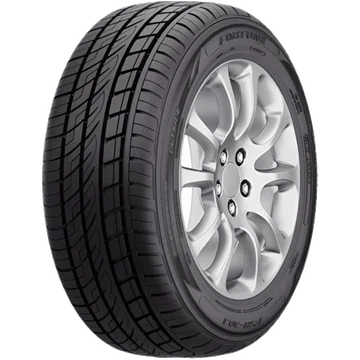 Fortune FSR-303 XL 255/55 R18