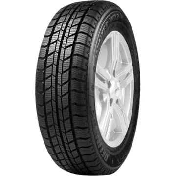 Delinte Winter WD2 205/70 R15