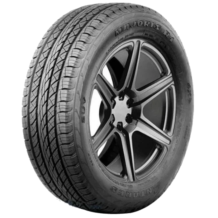 Antares Majoris R1 235/55 R19, внешний вид протектора