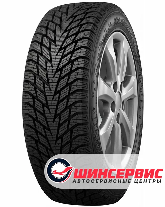 Cordiant Winter Drive 2 SUV 215/65 R16, внешний вид протектора