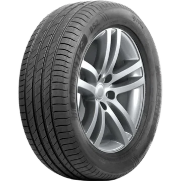 Delinte DS2 185/65 R15