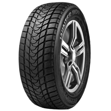 Delinte Winter WD1 185/60 R14