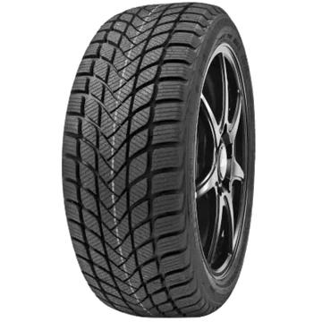 Delinte Winter WD6 225/55 R18